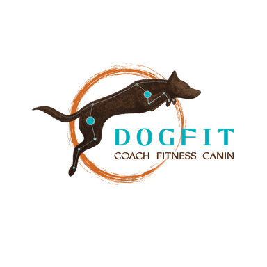DOGFIT — Coach Fitness Canin